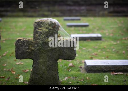 Spinnweben liegen auf steinernen Kreuzen auf dem deutschen Militärfriedhof Langemarck in Langemark-Poelkapelle in Flandern, Belgien. Stockfoto