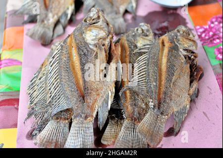 Fisch, Wochenmarkt, Markttag, San Christobal de las Casas, Mexiko Stockfoto