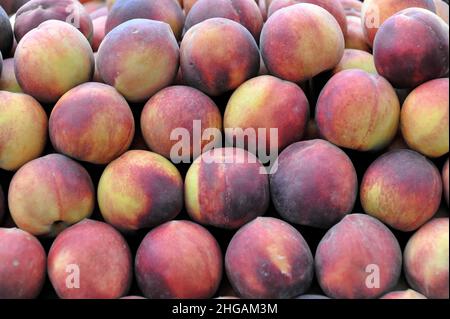 Pfirsiche, Wochenmarkt, Markttag, San Christobal de las Casas, Mexiko Stockfoto