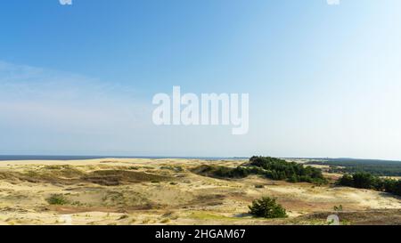 Sanddüne EFA an der Kurischen Nehrung, an einem sonnigen Tag im Sommer, Ostsee, Kaliningrad, Russland. Stockfoto