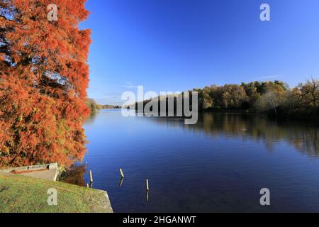 Herbstfarben über dem See im Clumber Park, Nottinghamshire, England, Großbritannien Stockfoto