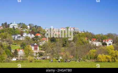 Villengebiet am Elbhang in Loschwitz mit Sternwarte und Restaurant Luisenhof, im Vordergrund der Elbradweg, Dresden, Sachsen Stockfoto