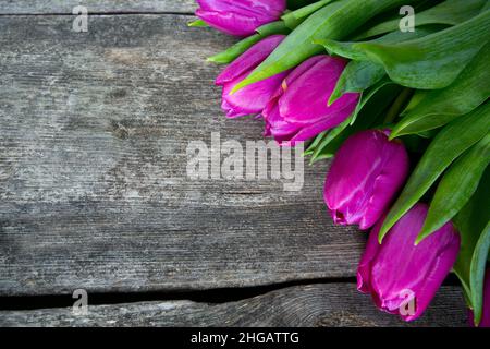 Lila Tulpen auf Holz- Oberfläche Stockfoto