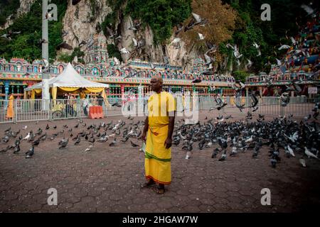 Gombak, Malaysia. 18th Januar 2022. Während der Thaipusam-Feier wird ein Mann im Sri Maha Mariamman Dhevasthanam Tempel unter Hunderten von Tauben stehen sehen. Kredit: SOPA Images Limited/Alamy Live Nachrichten Stockfoto