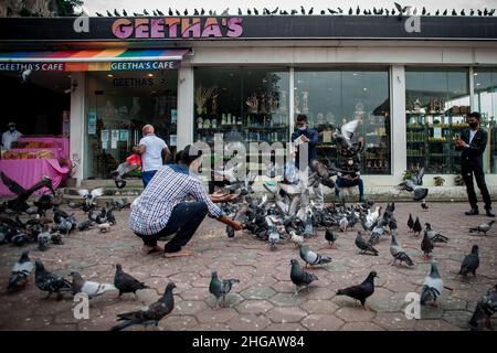 Gombak, Malaysia. 18th Januar 2022. Während der Thaipusam-Feier werden mehrere Besucher mit Gesichtsmasken gesehen, wie sie Tauben im Sri Maha Mariamman Dhevasthanam Tempel füttern. Kredit: SOPA Images Limited/Alamy Live Nachrichten Stockfoto