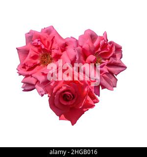 Drei leuchtend rote rosa Rosenblüten Bouquet in Form von Herz isoliert auf weißem Hintergrund. Elegantes festliches Blumensymbol für den Valentinstag. Romantisch Stockfoto