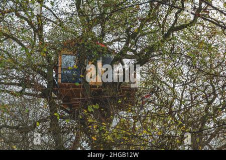 Baumhaus, Aktivist-Camp, Hambacher Forst, Nordrhein-Westfalen, Deutschland Stockfoto