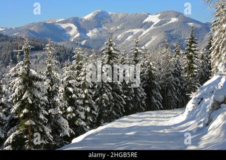 Winterlandschaft am Hochkar in Niederösterreich, Österreich, Europa Stockfoto