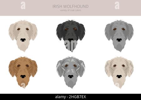 Irish Wolfhound Clipart. Verschiedene Posen, Fellfarben eingestellt. Vektorgrafik Stock Vektor