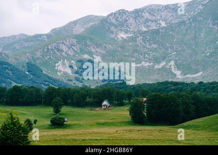 Haus im Hochland im Norden Montenegros, umgeben von Bäumen Stockfoto