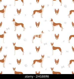 Ibizanischhund nahtlos opattern. Verschiedene Posen, Fellfarben eingestellt. Vektorgrafik Stock Vektor