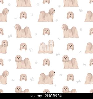 Lhasa Apso Nahtloses Muster. Verschiedene Posen, Fellfarben eingestellt. Vektorgrafik Stock Vektor