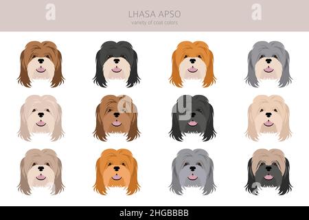 Clipart von Lhasa Apso. Verschiedene Posen, Fellfarben eingestellt. Vektorgrafik Stock Vektor