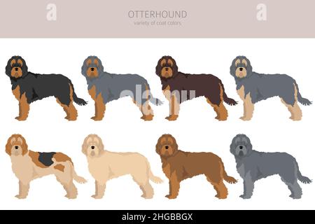 Otterhound Clipart. Verschiedene Posen, Fellfarben eingestellt. Vektorgrafik Stock Vektor