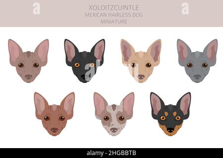 Xoloitzcuintle, mexikanische haarlose Hund Miniatur Clipart. Verschiedene Posen, Fellfarben eingestellt. Vektorgrafik Stock Vektor