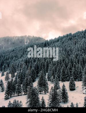 Österreich, steg , Eine wunderschöne Berglandschaft im Winter mit Bäumen, Smog Himmel Stockfoto