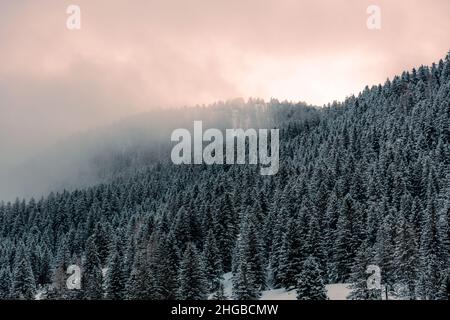 Österreich, steg , Eine wunderschöne Berglandschaft im Winter mit Bäumen, Smog Himmel Stockfoto