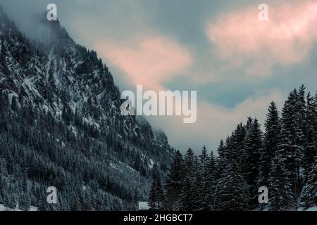 Österreich, steg , Eine wunderschöne Berglandschaft im Winter mit Bäumen, Smog Himmel Stockfoto