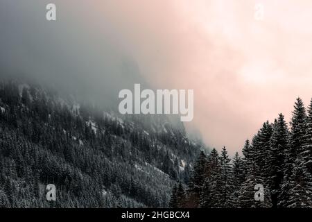 Österreich, steg , Eine wunderschöne Berglandschaft im Winter mit Bäumen, Smog Himmel Stockfoto