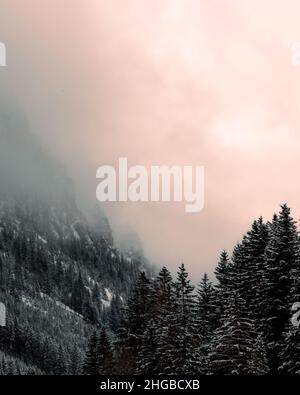 Österreich, steg , Eine wunderschöne Berglandschaft im Winter mit Bäumen, Smog Himmel Stockfoto