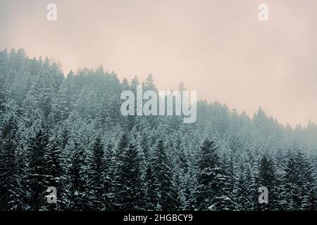 Österreich, steg , Eine wunderschöne Berglandschaft im Winter mit Bäumen, Smog Himmel Stockfoto