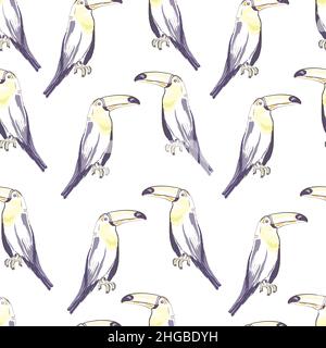 Nahtloses Muster mit handgezeichneter Tukan, Vogel, Illustration, Vektor Stock Vektor