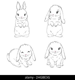 Bunny-Skizze, Kaninchen-Set, handgezeichnete isolierte Vektor-Illustration. Stock Vektor