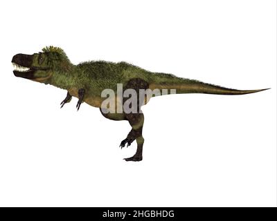 Tarcosaurus war ein fleischfressender gefiederter Dinosaurier, der in der Kreidezeit in Asien lebte. Stockfoto