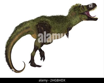 Tarcosaurus war ein fleischfressender gefiederter Dinosaurier, der in der Kreidezeit in Asien lebte. Stockfoto