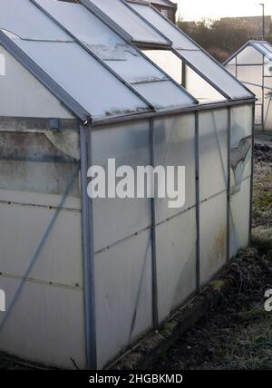 Frostiges Winterwetter im Zuteilungsgarten Beverley UK Stockfoto