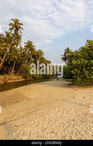 Schöner Blick auf den schmalen und flachen Fluss, der am Strand von Velsao in der Nähe von Sankval, Mormugao, Goa, Indien, auf das Meer trifft Stockfoto