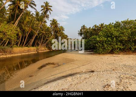 Schöner Blick auf den schmalen und flachen Fluss, der am Strand von Velsao in der Nähe von Sankval, Mormugao, Goa, Indien, auf das Meer trifft Stockfoto