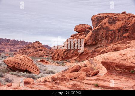 Overton, Nevada, USA - 24. Februar 2010: Valley of Fire. Landschaft mit roten Felsen verschiedener Höhen auf trockenem beigefarbenen Wüstenboden unter dicken grauen cl Stockfoto