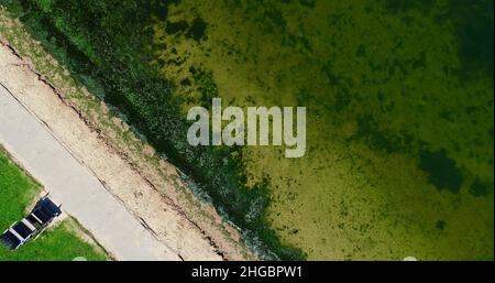 Luftaufnahme von potenziell gefährlichen giftigen Algen, die in den Gewässern des Lake Mendota entlang des geschlossenen Strandes im James Madison Park, Madison, Wisconsin, USA, schwimmen Stockfoto