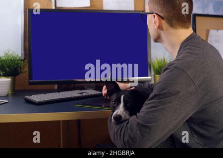 Der Hund sitzt in den Händen des Mannes. Ein Mann arbeitet zu Hause, ein Grafiker, ein Schöpfer arbeitet zu Hause auf freiberuflich mit einem Hund. Das Haustier macht es schwierig Stockfoto