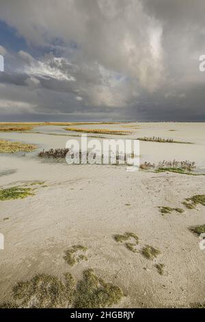 Baie de Somme, le Hourdel, chenal à marée basse, blockhaus, coucher de Soleil sur la mer , sable et balise. Stockfoto