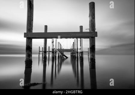 Live Oaks, Blue Hour, Pilings, Golf von Mexiko, USA Stockfoto