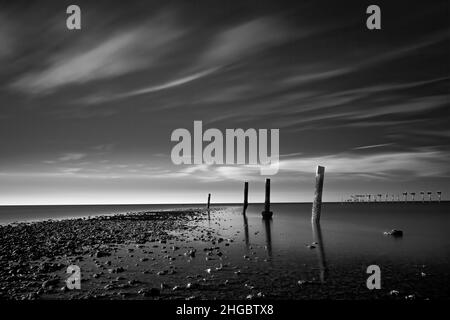 Live Oaks, Blue Hour, Pilings, Golf von Mexiko, USA Stockfoto