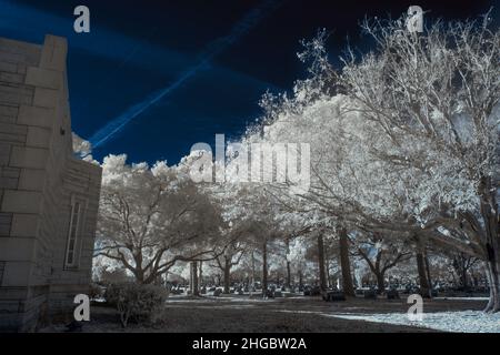 Infrarotfotografie der Friedhofslandschaft mit Krypta und Bäumen. Mit einer Nikon IR-konvertierten Kamera. Stockfoto