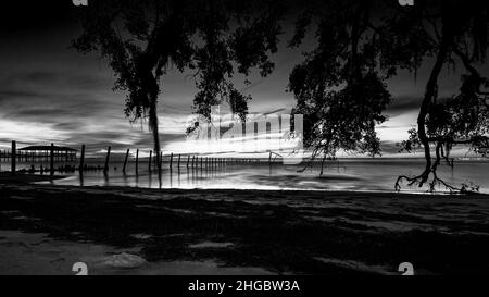 Live Oaks, Blue Hour, Pilings, Golf von Mexiko, USA Stockfoto