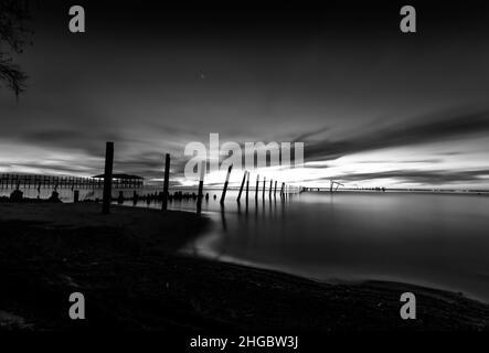 Live Oaks, Blue Hour, Pilings, Golf von Mexiko, USA Stockfoto