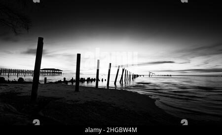 Live Oaks, Blue Hour, Pilings, Golf von Mexiko, USA Stockfoto