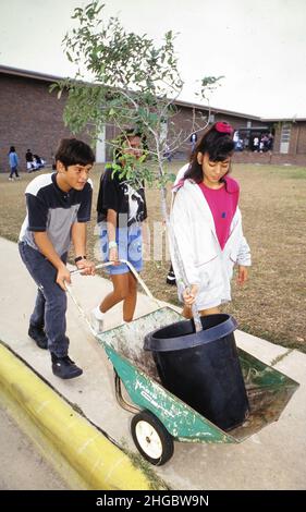 Austin, Texas USA 1991: Baumpflanzung durch 6th und 7th Schüler an der Webb Middle School in Austin. ©Bob Daemmrich Stockfoto