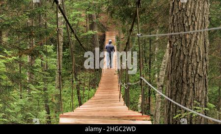 Wandern im grünen tropischen Dschungel, Mittelamerika. Rückansicht eines Mannes, der die hölzerne Hängebrücke überquert und von einem grünen Wald umgeben ist. Stockfoto