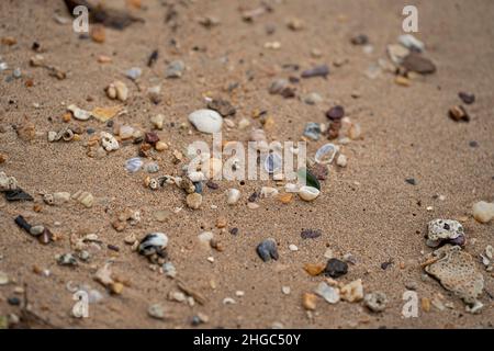 Myriade von Kieselsteinen an einem Strand gefunden. Selektive Fokuspunkte Stockfoto