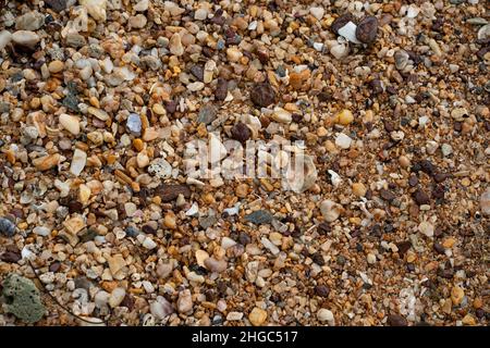 Myriade von Kieselsteinen an einem Strand gefunden. Selektive Fokuspunkte Stockfoto