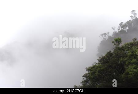 Nebel umhüllt eine clif-Wand in den Blue Mountains, NSW, Australien. Die blauen Berge sind oft mit Nebel bedeckt. Stockfoto