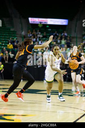 Waco, Texas, USA. 19th Januar 2022. Baylor Lady Bears Wache Jordan Lewis (3) fährt mit dem Ball in den Korb gegen die Oklahoma State Cowgirls Waco, Texas (11) während des 4th. Quartals des NCAA Basketballspiels zwischen den Oklahoma State Cowgirls und Baylor Lady Bears im Ferrell Center in Waco, Texas. Matthew Lynch/CSM/Alamy Live News Stockfoto