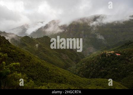 Malerischer Blick auf den alten Heide- und Lorbeerwald bei „Posto Florestal do Rabaçal“, Madeira, Ausgangspunkt vieler Levada-Wanderungen in diesem Wandergebiet Stockfoto