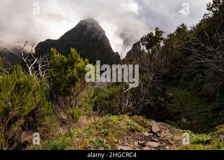 Geheimnisvolle neblige Berglandschaft in der Nähe von „Boca das Torrinhas“, Madeira, vom Wanderweg „Vereda da Encumeada“ aus gesehen, der zum Pico Ruivo führt Stockfoto